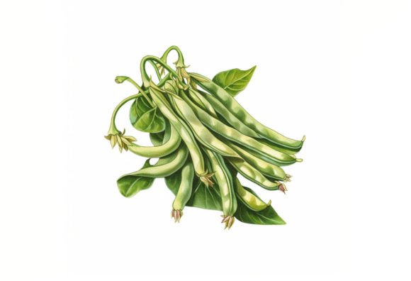 Cute Green Beans Color Splash: A Fresh Take on Playful Design