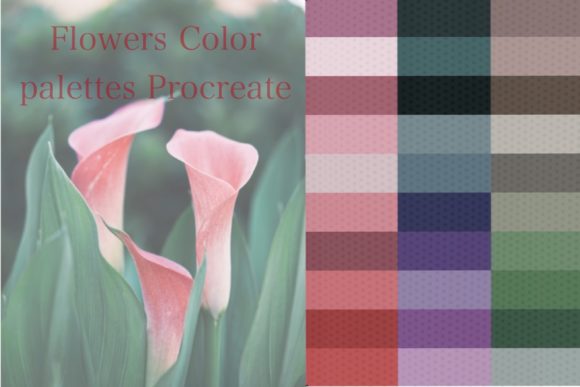 Elevate Your Digital Art with Procreate Palette Color 30 Organized