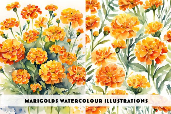 Marigold Flowers Watercolour Duo: A Burst of Artistic Flair