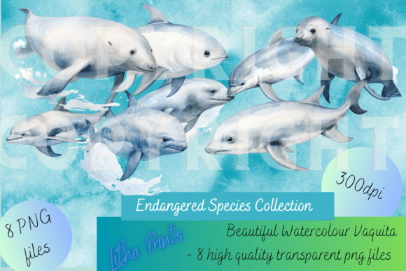 The Artistic Appeal of Watercolour Vaquita