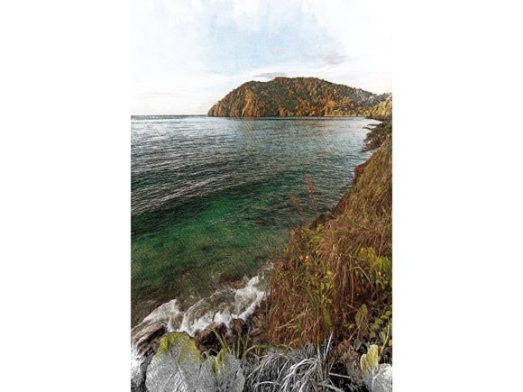 Tobago Tropical Color Sketch: A Burst of Island Energy